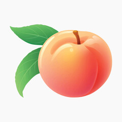 Fresh juicy peach illustration