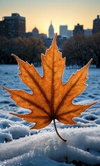 Poster - Frozen Leaf in the City.