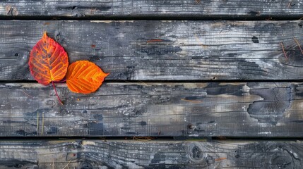 Poster - Background with autumn leaves and orange leaf on weathered wooden deck