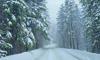 Wall Mural - Christmas Winter Forest Snowfall Background. Beautiful winter forest road in the snow with snowfall.