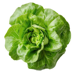 A whole, raw lamb's lettuce on transparent background