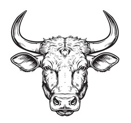 Poster - Cow head sketch hand drawn engraving style Vector illustration