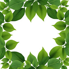 Sticker - Green leaves frame