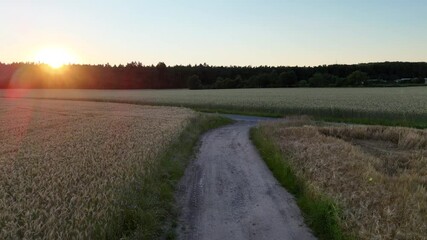 Poster - Flug ueber einen Feldweg