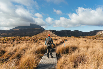 Wall Mural - Asian traveler man enjoying with volcanic mountain and golden meadow in Tongariro alpine track at New Zealand