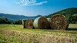 © Yelena - Hay stacked in large round bales lying
