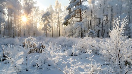 Wall Mural - Winter day in the forest