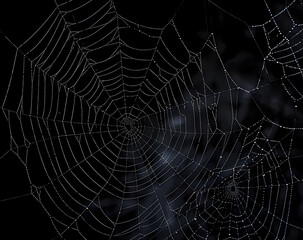 Wall Mural - spider web silhouette against black wall - halloween theme dark background