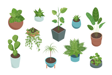 Poster - Cartoon Color House Plants Set 3d Isometric View Include of Cactus, Philodendron and Succulent. Vector illustration
