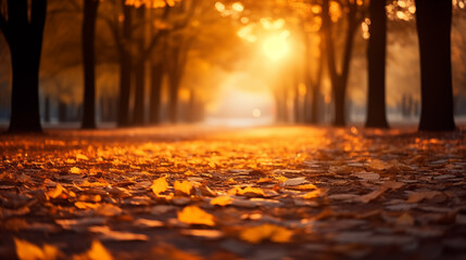 Wall Mural - Orange maple leaves on a branch with bokeh in the background.