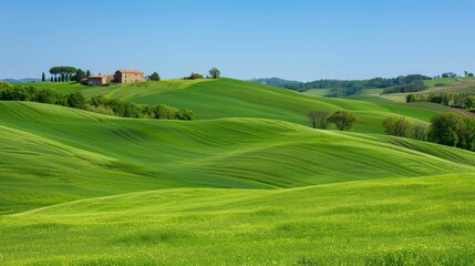 Wall Mural - Rolling green hills with a lone farmhouse under a clear blue sky