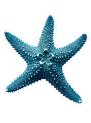 Wall Mural - [Transparent Background PNG]Blue Starfish Isolated