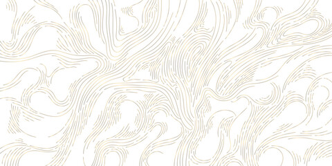 Wall Mural - Luxury line background, gold wavy art texture. Organic wood, hair illustration, curve elegant graphic. Flow template, swirl graphic. 