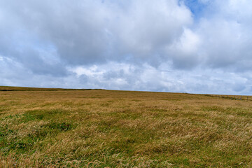 grass field with fence and a cloudy sky in Ireland