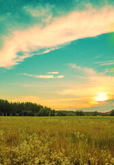 Wall Mural - rural landscape in the evening at sunset. vertical shot
