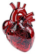 © Rawpixel.com - Realistic red anatomical heart illustration