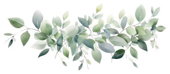 Poster - PNG  Elegant watercolor eucalyptus leaves