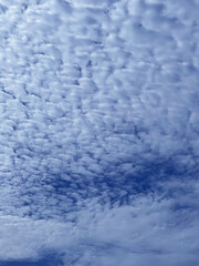 Canvas Print - clouds in the sky