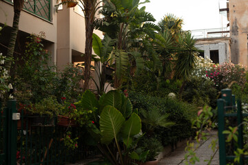 Poster - A lush green courtyard with a walkway leading to the back of an apartment building