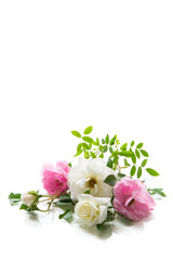 Poster - wooden light background with white and pink roses