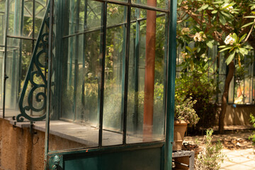 Poster - A weathered green glass door leads to a sun drenched greenhouse