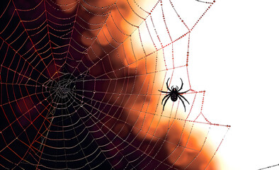 Wall Mural - spider and web background for halloween design