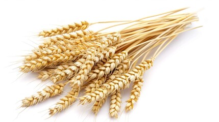 Poster - A bunch of wheat grains are shown in a close up