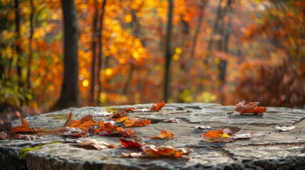 Poster - Fallen leaves rest on a flat stone surface, with a blurred background of autumn trees.