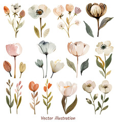 Wall Mural - Spring flowers water color vector illustration. Wedding frame elements collection. Elegant foliage design for wedding, card, invitation, greeting. Flower and leaves in various colors. 