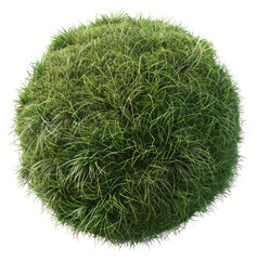 Wall Mural - PNG Spherical lush green grass ball