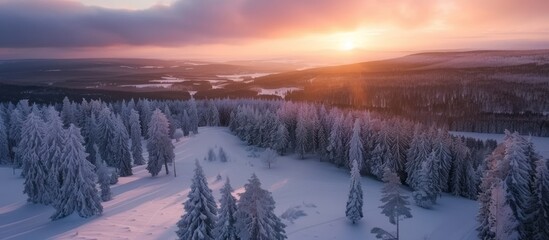 Wall Mural - Winter Sunset over Snow-Covered Forest