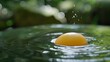 © Aphisit - Chicken egg with a soft, gently rippling pond