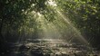© Otseira - mangrove area. mangrove day background concept