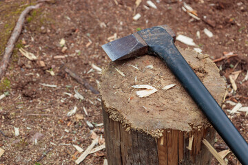 Axe in stump. Axe ready for cutting timber in Finland forest. Preparing firewood for the winter to heat the house