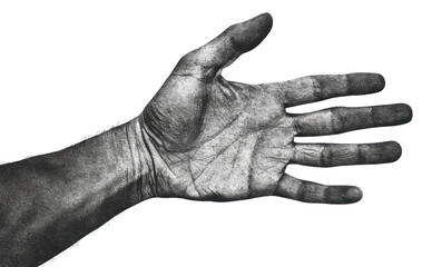 Wall Mural - PNG  Detailed black and white hand