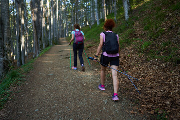 Women hikers with backpacks and poles in the forest