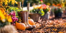 Two Pumpkins And Yellow Mums Free Stock Photo - Public Domain Pictures