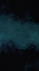 Wall Mural - Smoke over black background. Fog or steam abstract dark texture pattern. Vertical, black background.