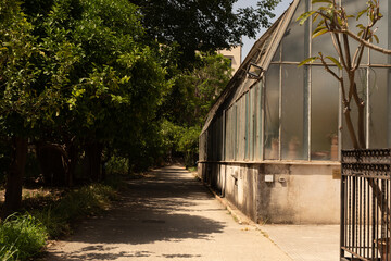 Poster - A leafy pathway leading to a greenhouse