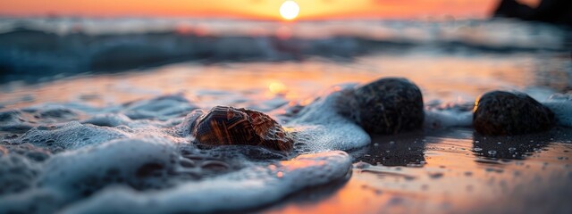 Wall Mural -  A few rocks perch atop a beach, bordering a body of water as the sun sets in the background