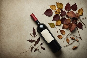 Bottle of red wine with corkscrew and dried vine leaves on an vintage background. Top view with copy space.