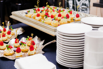 Dessert Canapes with Raspberry on Plates. Dessert canapes with raspberry, cream cheese, and blueberries on silver trays and leaf-shaped tray, white plates, catering event