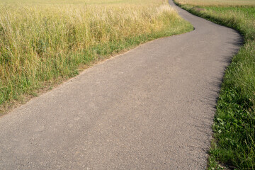 Footpath in the country between grass 