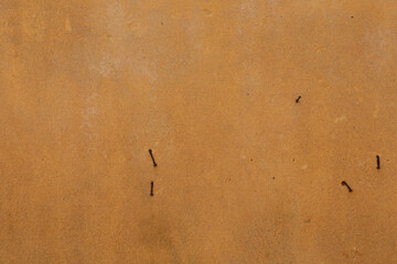 Poster - A close up of a tan wall with rusty nails
