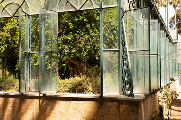 Poster - A row of glass panels with intricate metal details