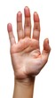 © Adobe Contributor - Open Hand Gesture on White
