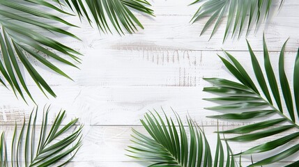 Poster - Palm Leaves on White Wooden Background: Summer Vacation Concept