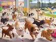 © wayne - Happy Dogs Playing at Bustling Dog Daycare Facility'