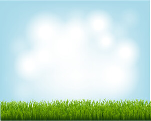 Wall Mural - Green Grass Border And Blue Sky