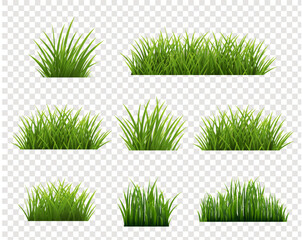 Wall Mural - Green Grass Border Set And Isolated Transparent Background